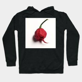 7 Pot Primo Hoodie